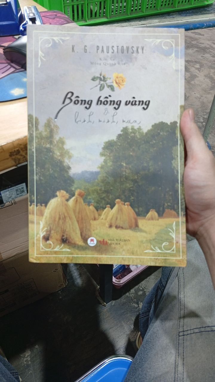 Bông hồng vàng & Bình minh mưa