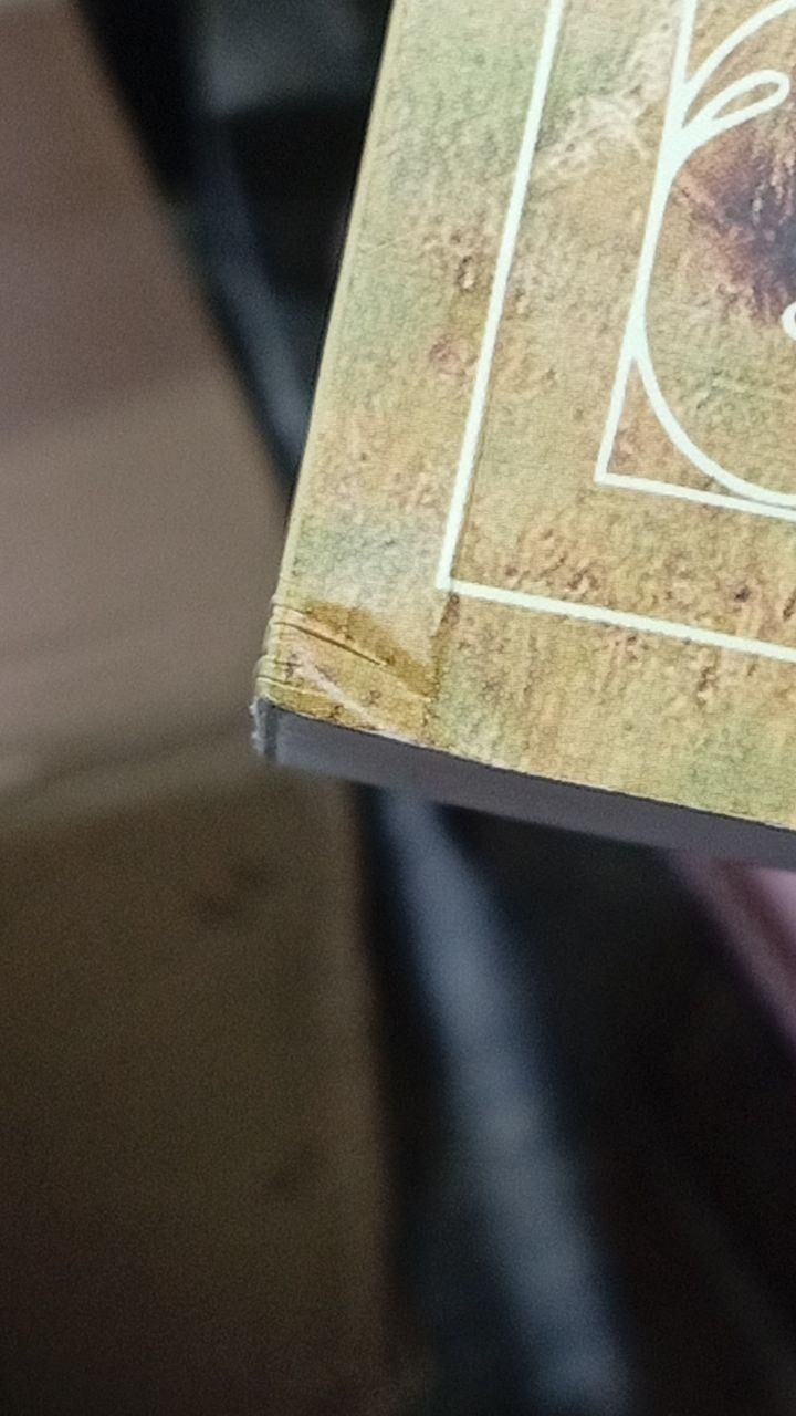 Bông hồng vàng & Bình minh mưa