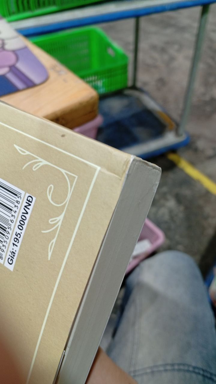 Bông hồng vàng & Bình minh mưa