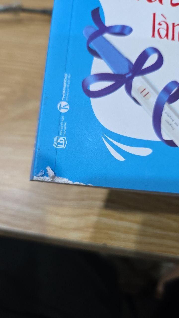 Sách Lần Đầu Làm Bố - 2024