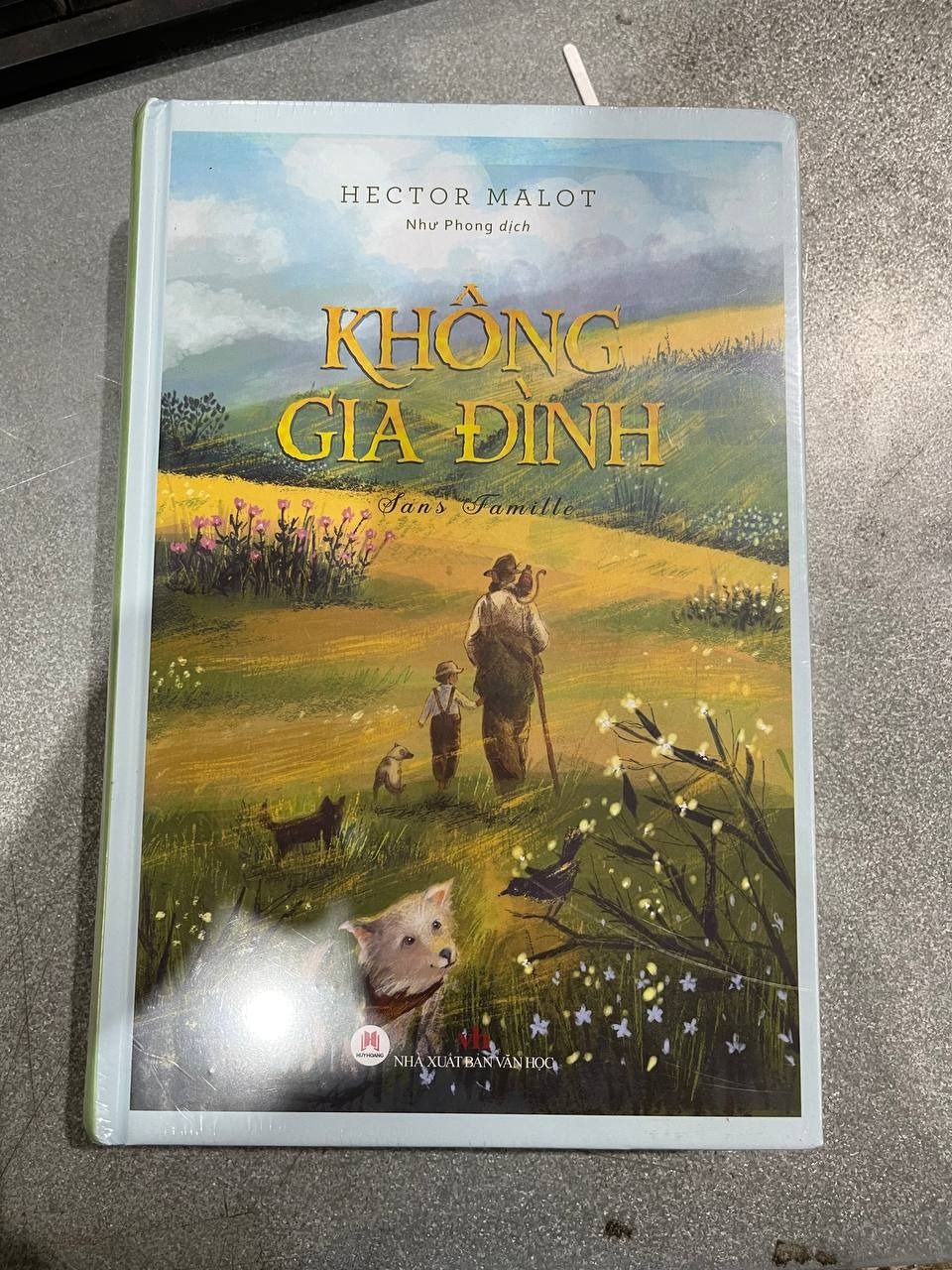 Sách Không Gia Đình (Tái Bản) - BÌA CỨNG