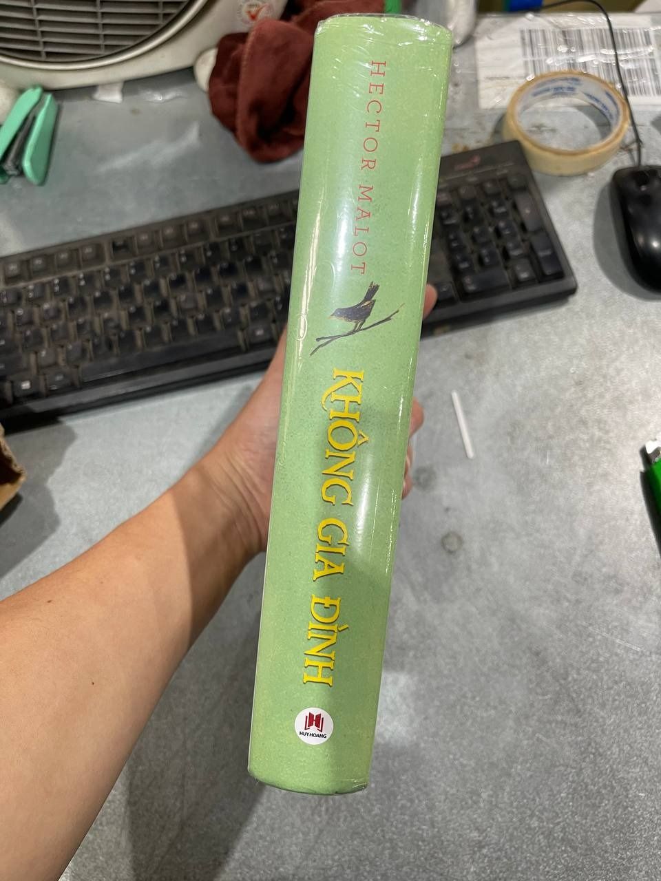 Sách Không Gia Đình (Tái Bản) - BÌA CỨNG