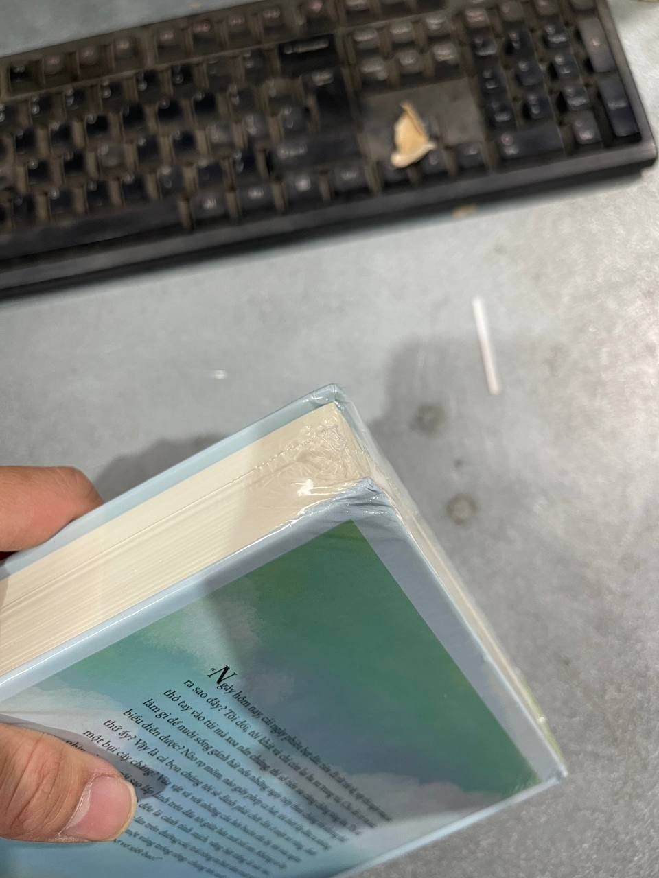 Sách Không Gia Đình (Tái Bản) - BÌA CỨNG