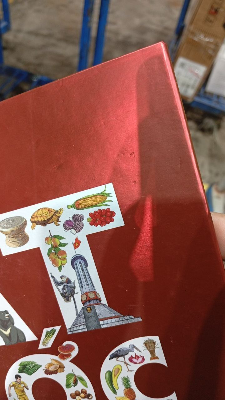 Đất Nước Gấm Hoa - Atlas Việt Nam - Tái Bản 2025