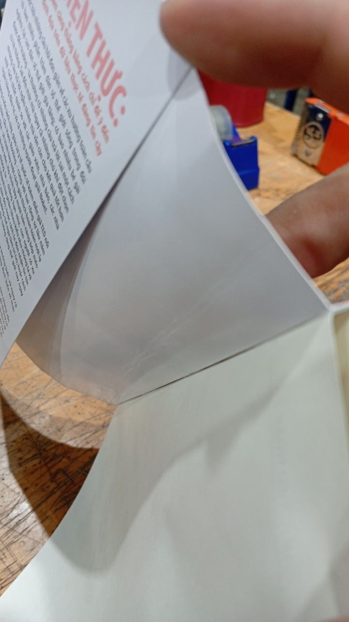 Sự Thật Về Thế Giới : Mười Lý Do Khiến Ta Hiểu Sai Về Thế Giới - Và Vì Sao Thế Gian Này Tốt Hơn Ta Tưởng