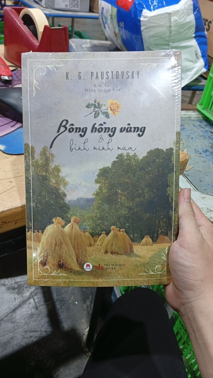 Bông hồng vàng & Bình minh mưa
