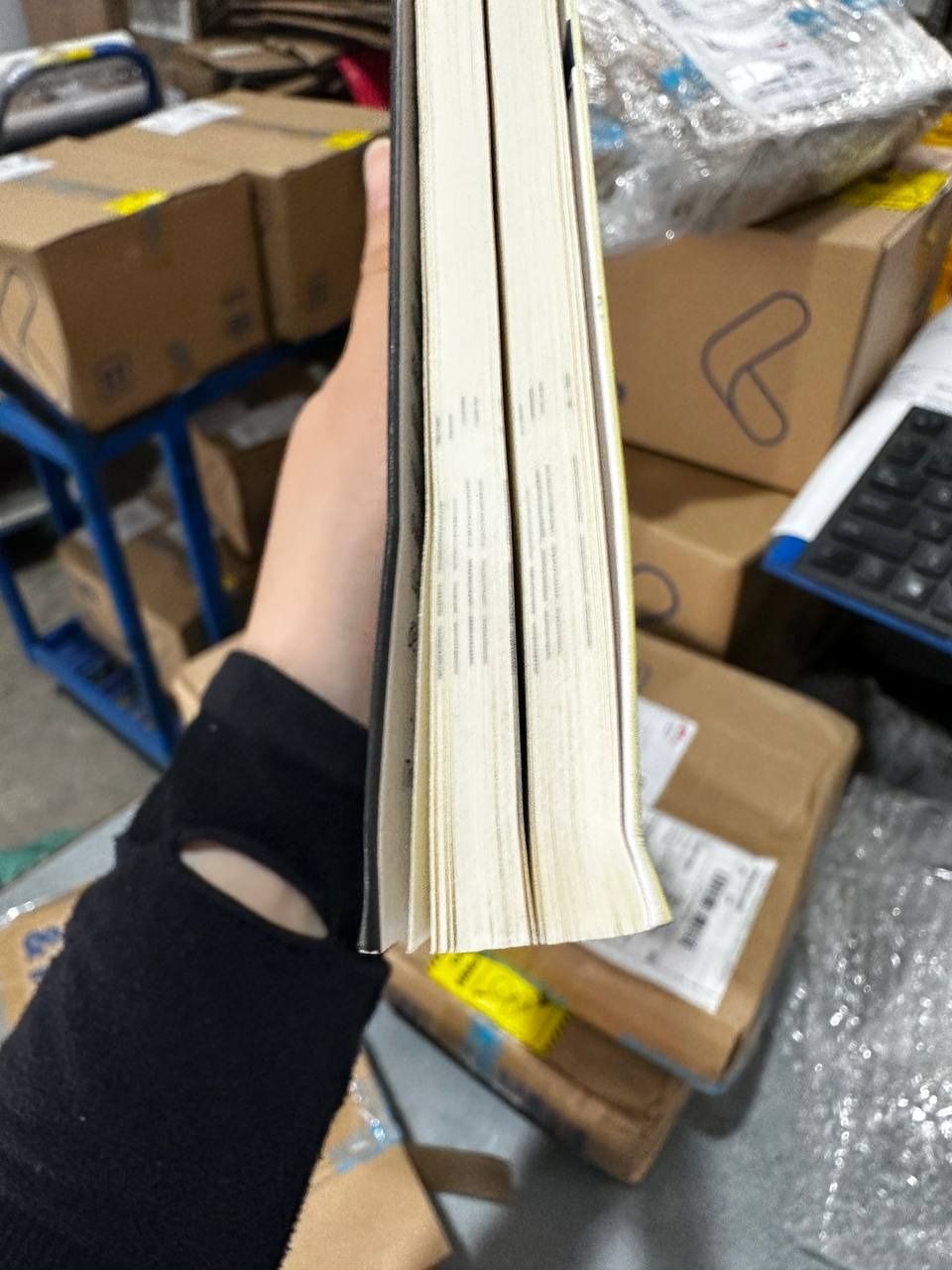 Không Diệt Không Sinh Đừng Sợ Hãi (TB5)