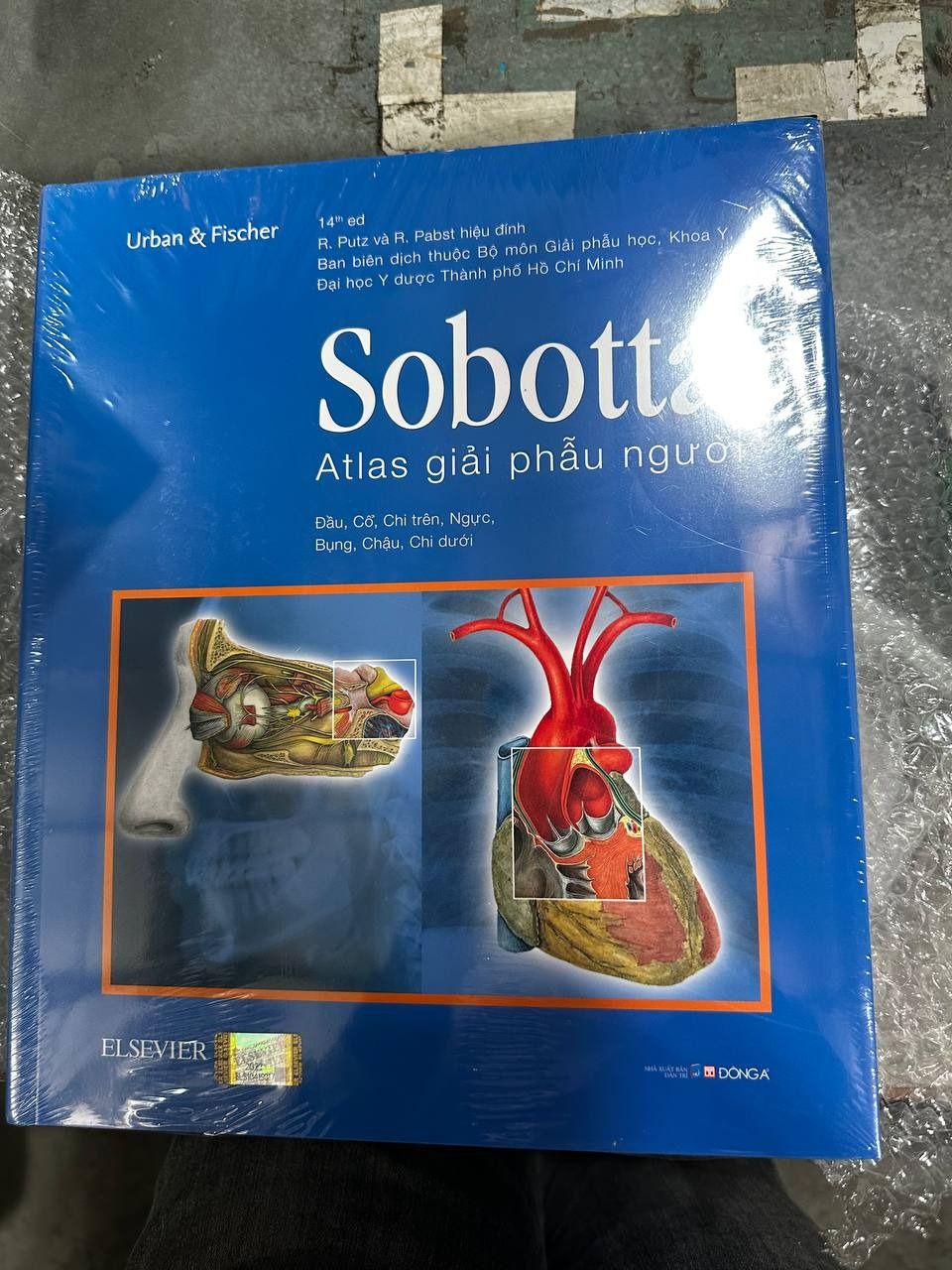 Sobotta Atlas Giải Phẫu Người