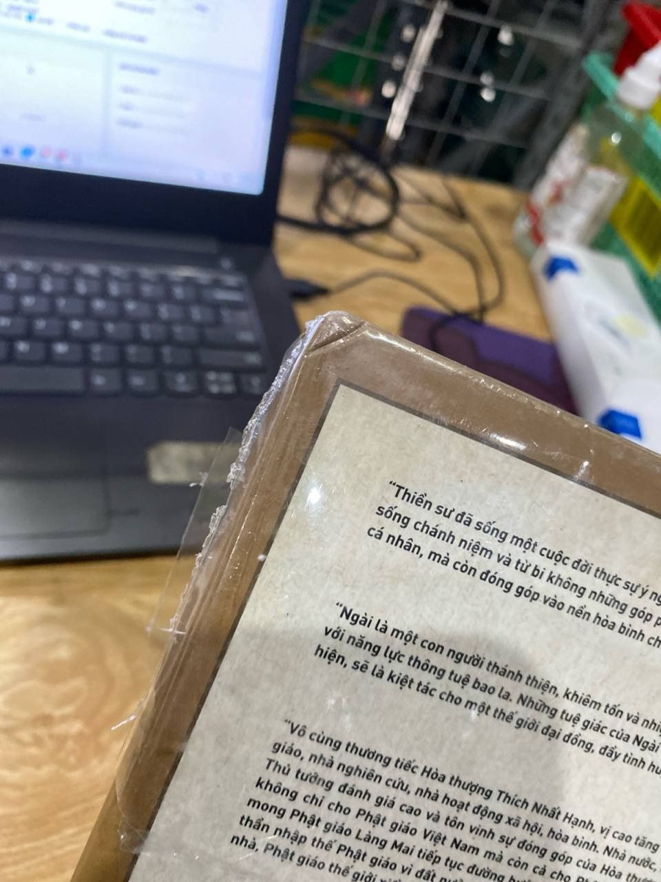 Sách Đi Gặp Mùa Xuân - Hành Trạng Thiền Sư Thích Nhất Hạnh - Bản thường