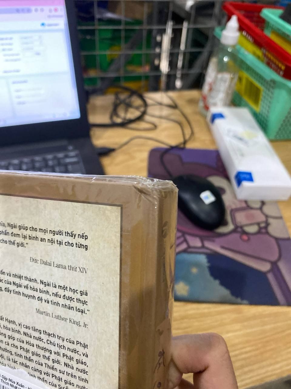 Sách Đi Gặp Mùa Xuân - Hành Trạng Thiền Sư Thích Nhất Hạnh - Bản thường