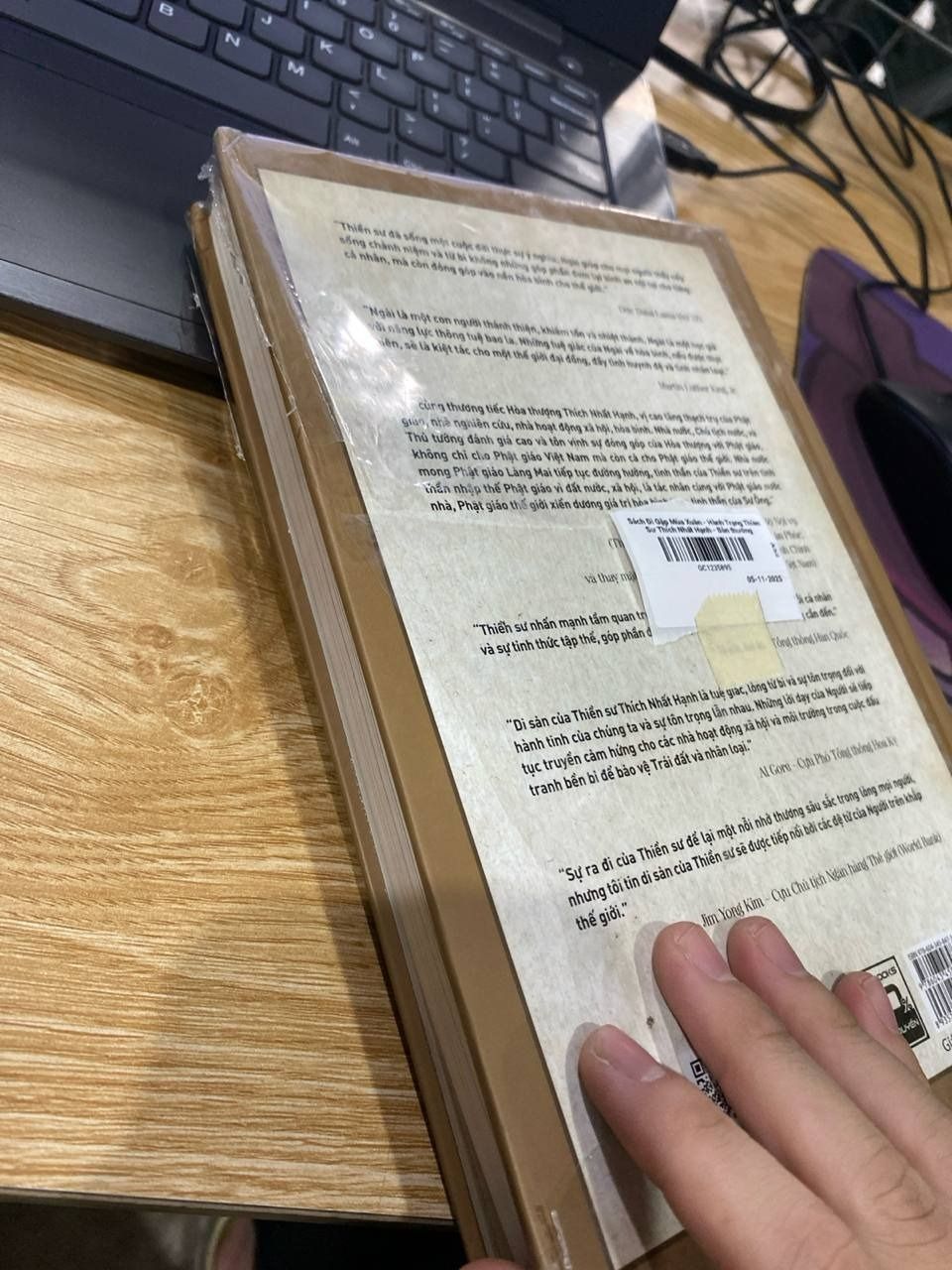 Sách Đi Gặp Mùa Xuân - Hành Trạng Thiền Sư Thích Nhất Hạnh - Bản thường