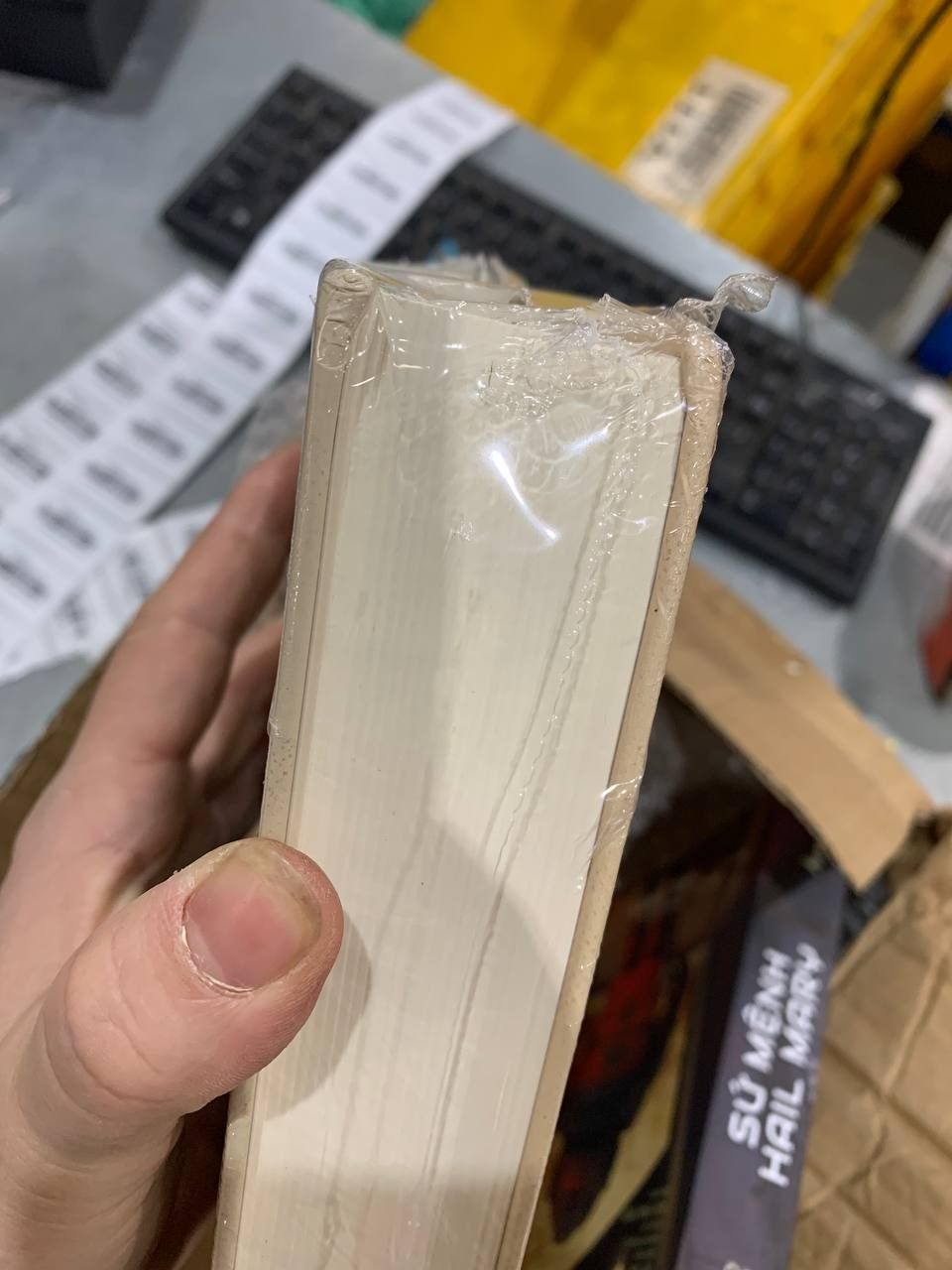 Sách Hai số phận (bìa cứng)