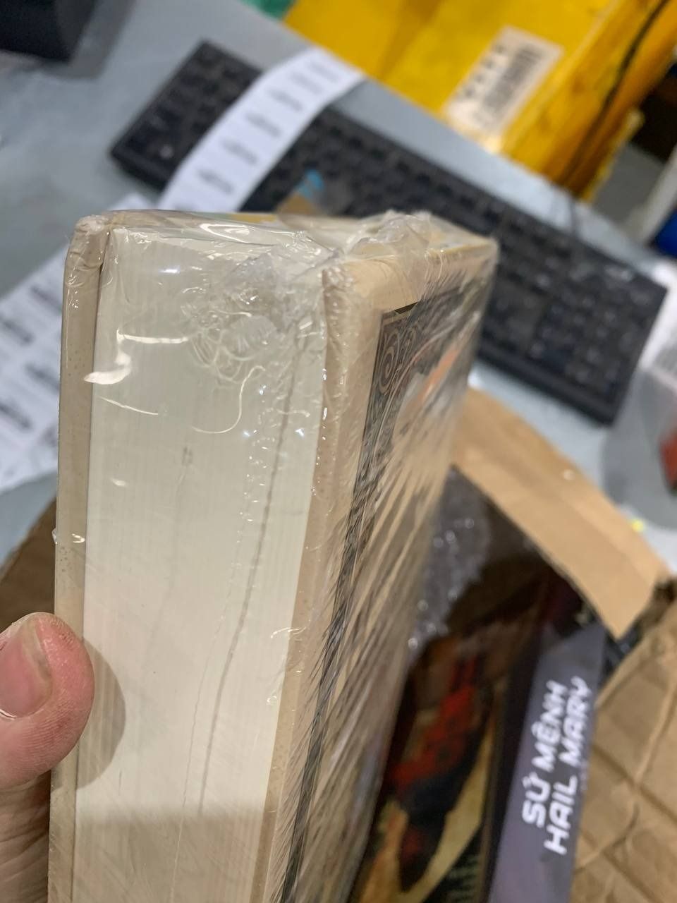 Sách Hai số phận (bìa cứng)