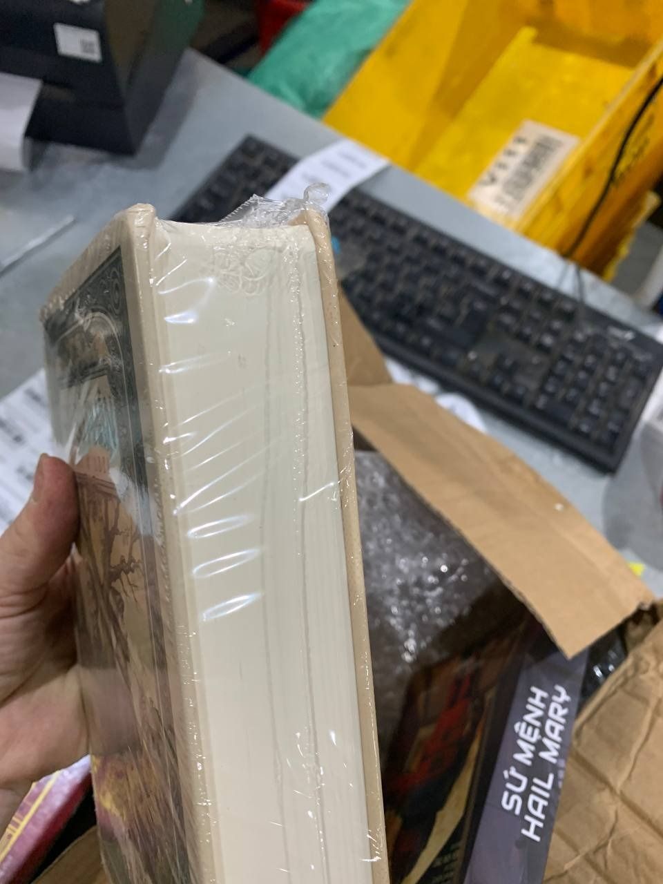 Sách Hai số phận (bìa cứng)