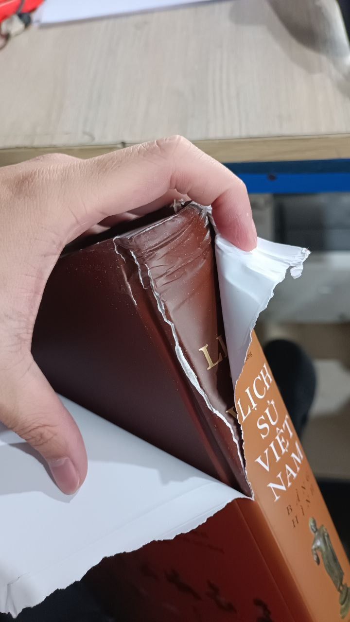 Lịch sử Việt Nam bằng hình - Gần 2000 minh họa tranh ảnh và bản đồ