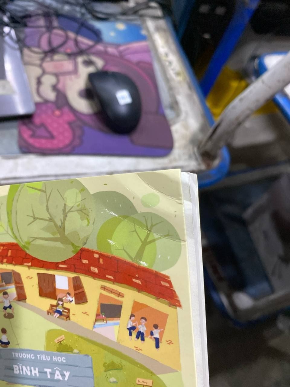 Mùa Tiểu Học Cuối Cùng