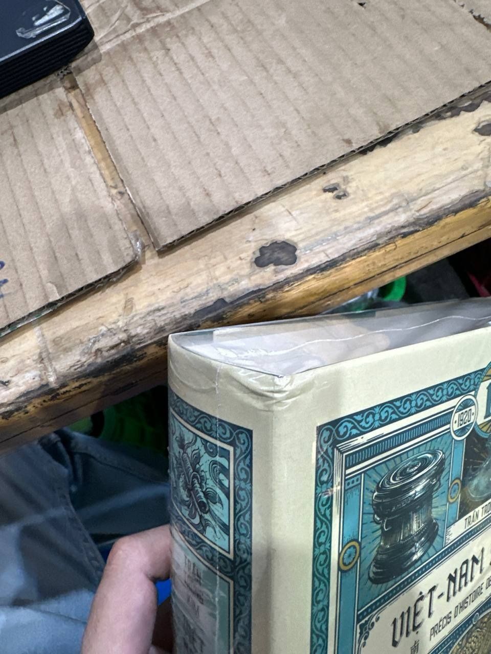 Việt Nam Sử Lược (Ấn Bản Kỉ Niệm 100 Năm Xuất Bản Lần Đầu) - Tái Bản 2023