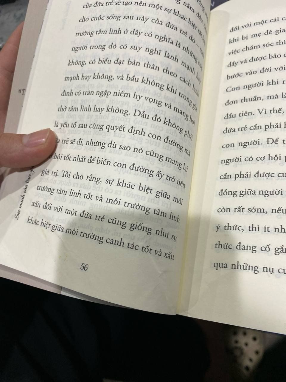 Sức mạnh của trực giác