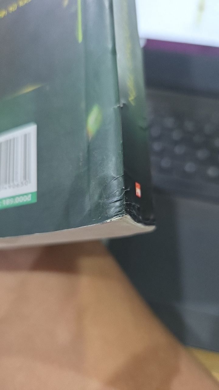 Sách Trộm Mệnh 1 - Lư hương ngư văn - Chu sa chỉ lối