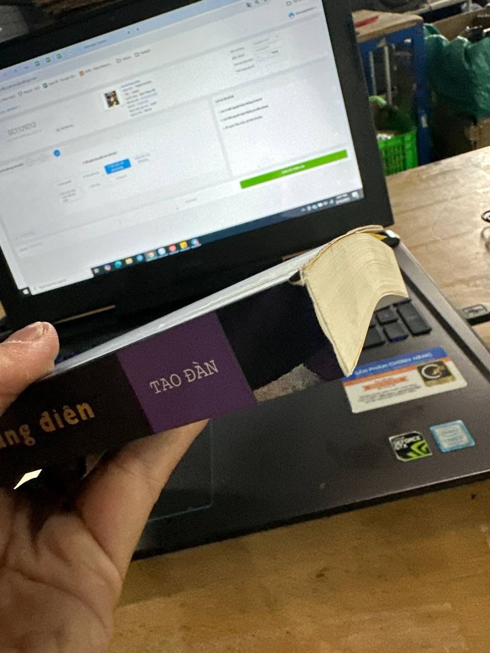 Bảy Kẻ Khùng Điên