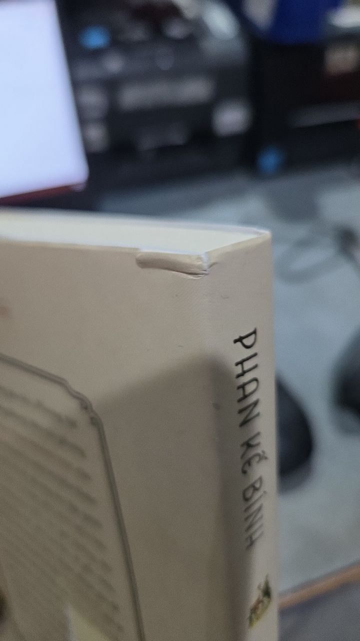 Sách Việt Nam phong tục