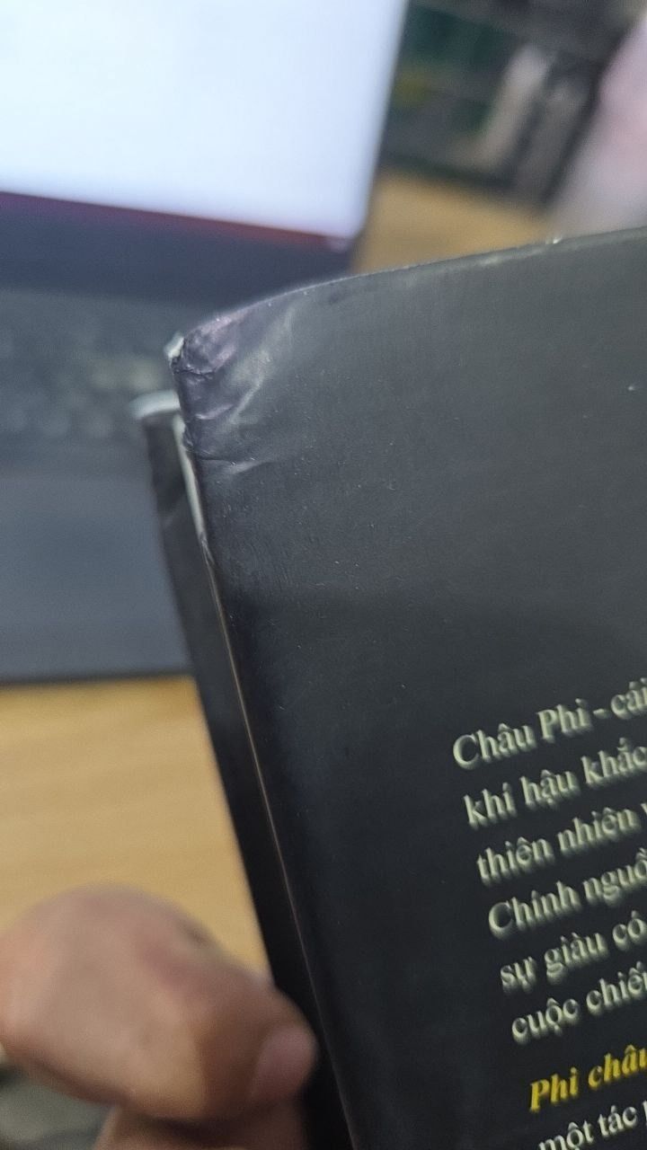 Sách Phi Châu Thịnh Vượng - Lịch Sử 5.000 Năm Của Sự Giàu Có, Tham Vọng Và Nỗ Lực