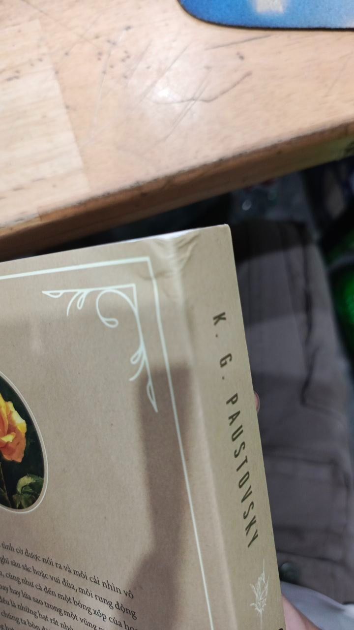 Bông hồng vàng & Bình minh mưa