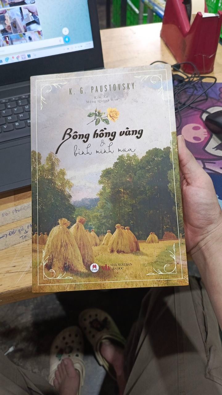 Bông hồng vàng & Bình minh mưa