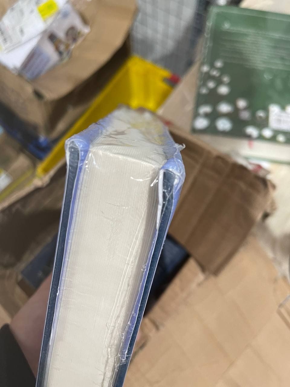 LỊCH SỬ ISRAEL – Câu chuyện về sự hồi sinh của một dân tộc – Bìa cứng – Omega Plus