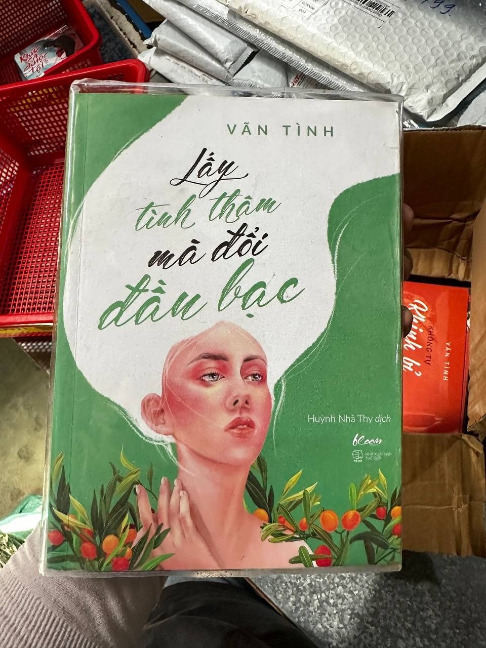 Lấy Tình Thâm Mà Đổi Đầu Bạc