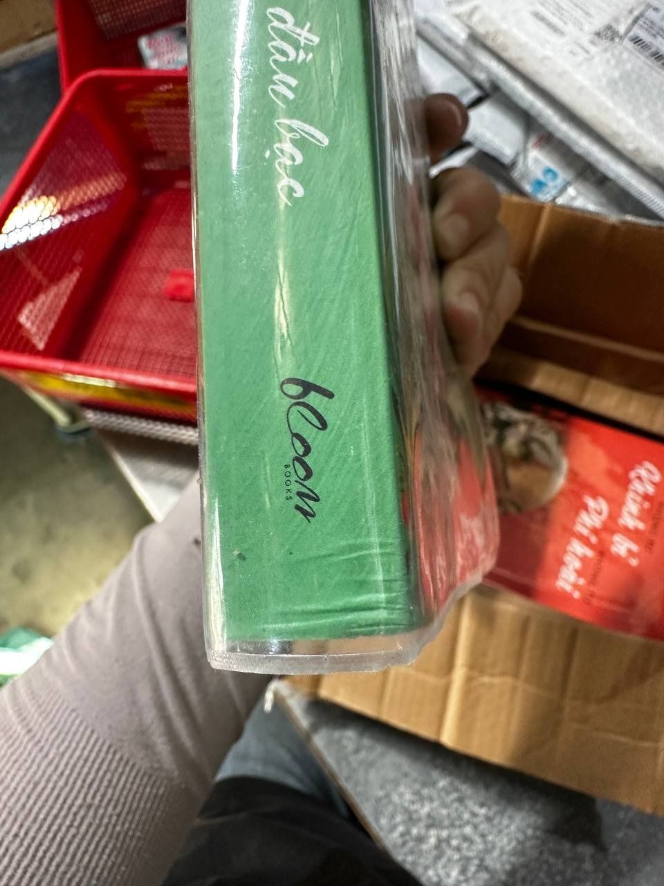 Lấy Tình Thâm Mà Đổi Đầu Bạc