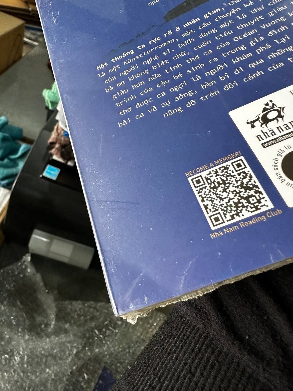 Một Thoáng Ta Rực Rỡ Ở Nhân Gian