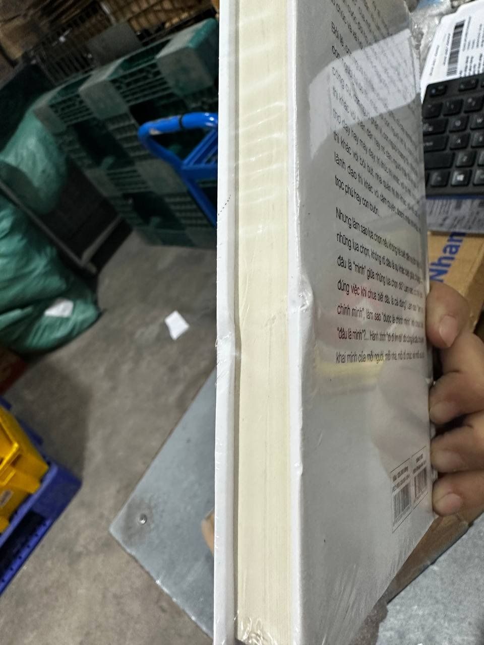 Đúng Việc - 2023