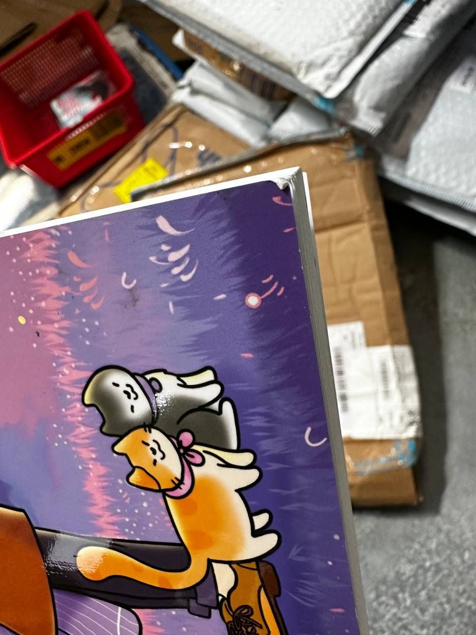 Cùng cậu ngắm sao trời