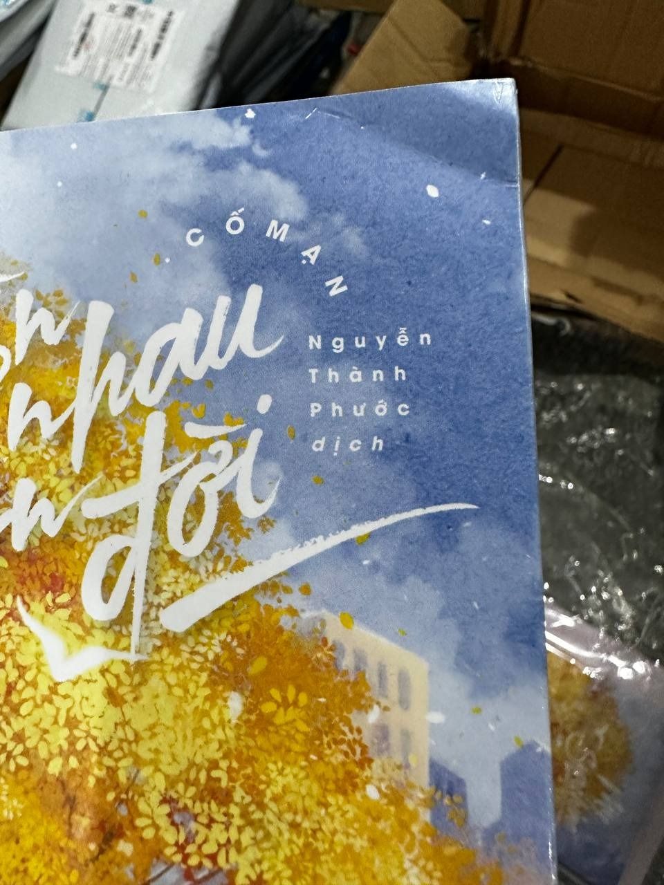 Bên Nhau Trọn Đời - Bản Đặc Biệt