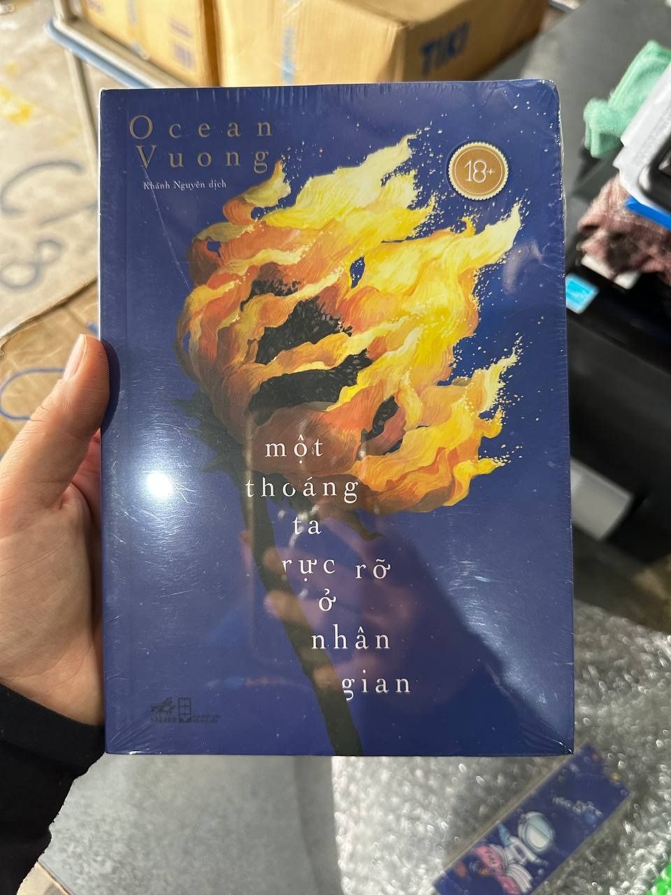 Một Thoáng Ta Rực Rỡ Ở Nhân Gian