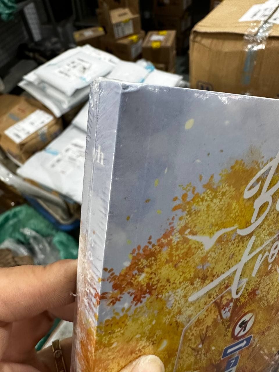 Bên Nhau Trọn Đời - Bản Đặc Biệt