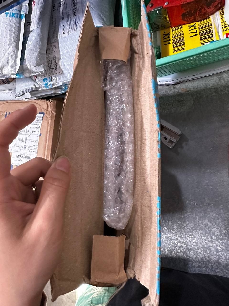 Cùng cậu ngắm sao trời