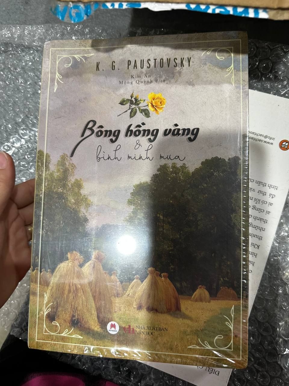 Bông hồng vàng   Bình minh mưa