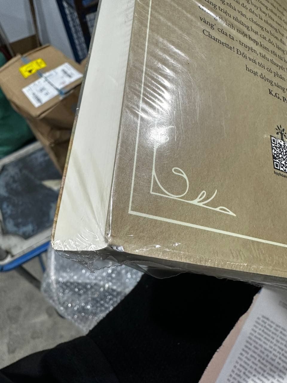 Bông hồng vàng   Bình minh mưa