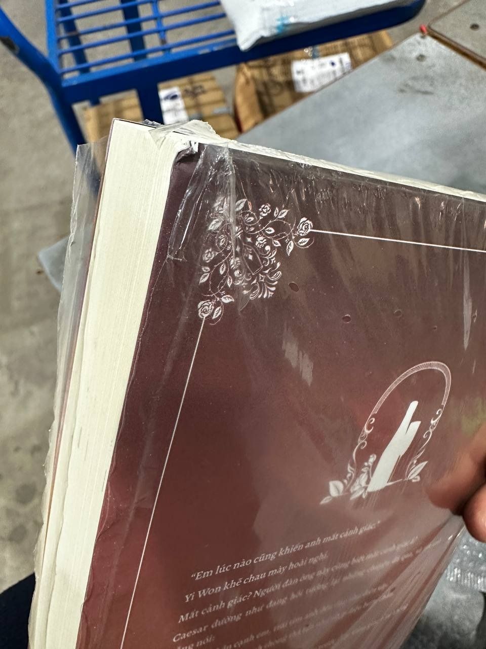 Roses And Champagne - Hoa Hồng Và Sâm Banh Tập 2 - Bản Thường