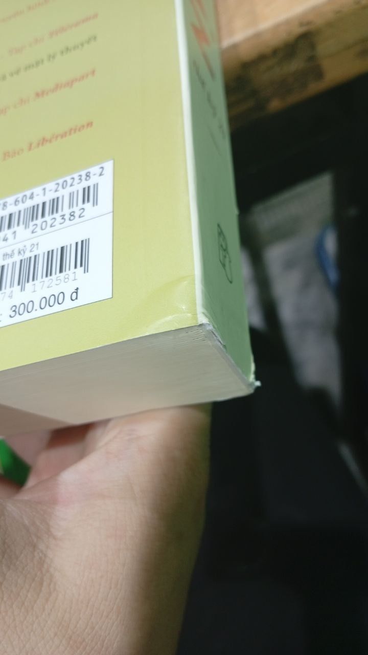 Tư Bản Thế Kỷ 21