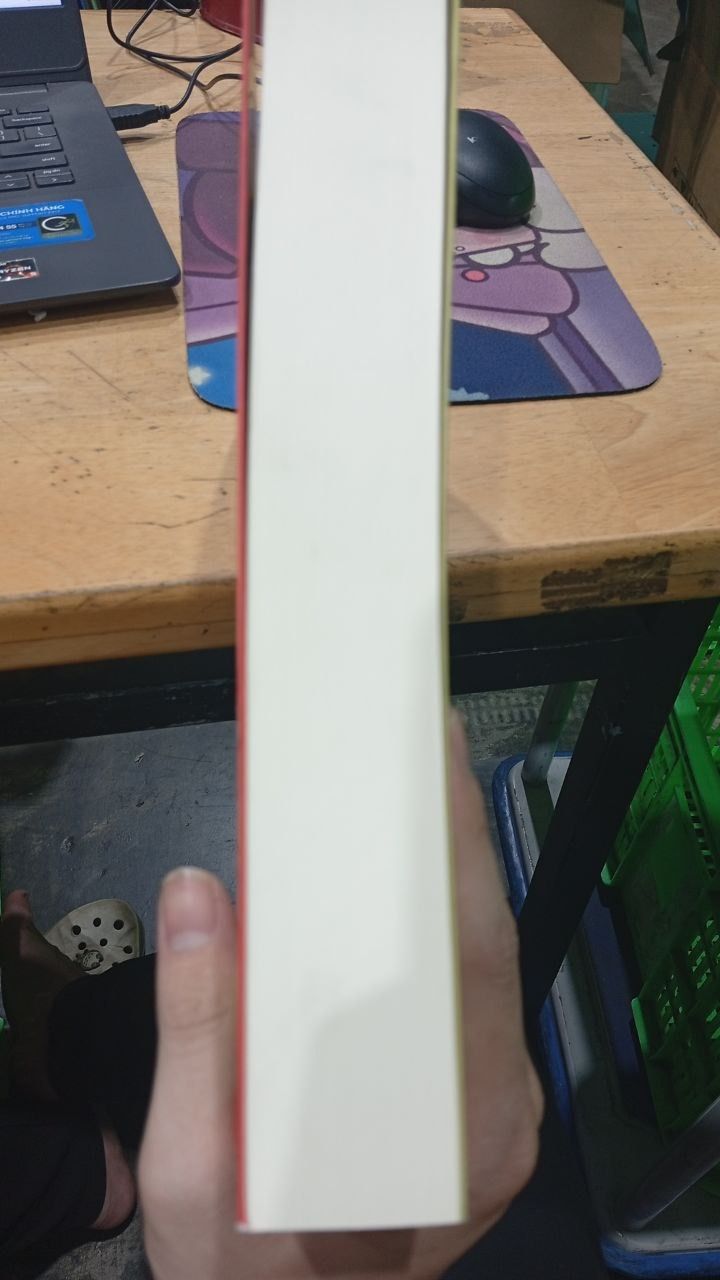 Tư Bản Thế Kỷ 21