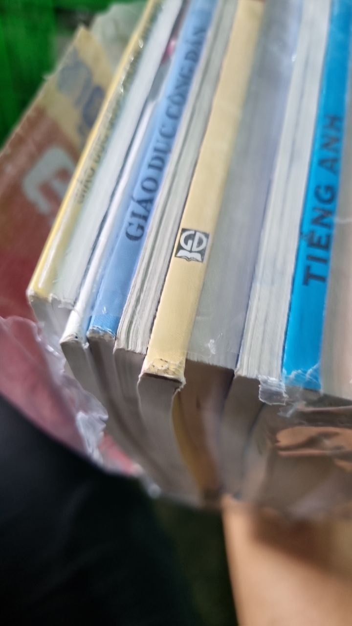 Sách Giáo Khoa Lớp 12 - Bộ Sách Giáo Khoa (14 cuốn)