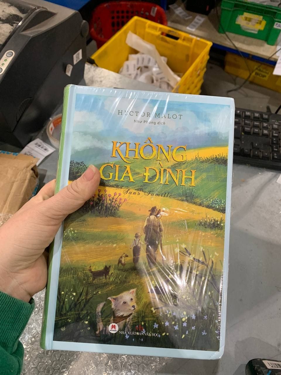 Sách Không Gia Đình (Tái Bản) - BÌA CỨNG