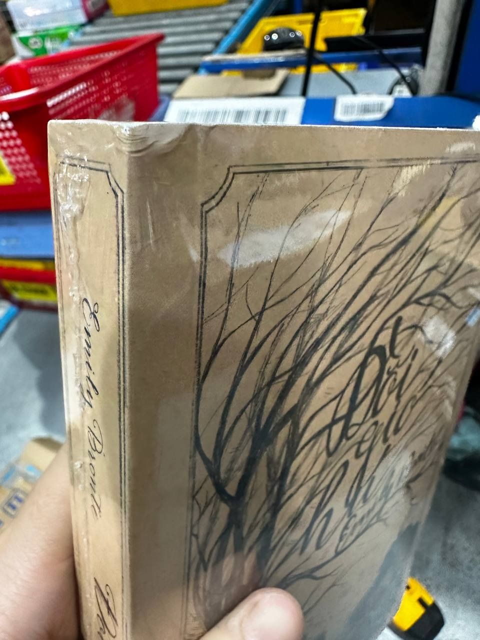 Sách Đồi Gió Hú (Tái Bản)