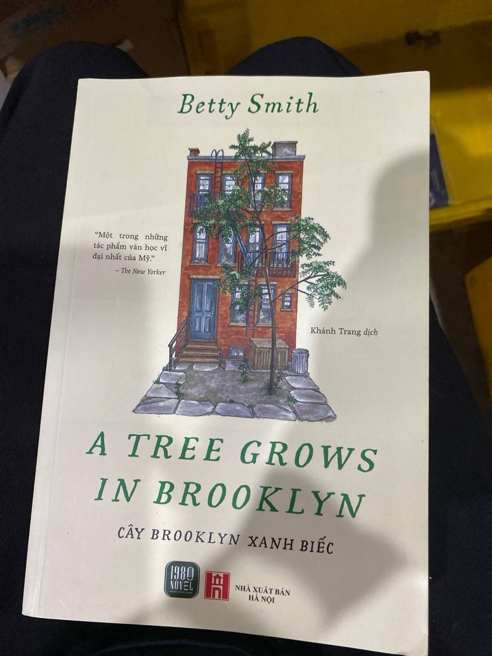 Cây Brooklyn Xanh Biếc