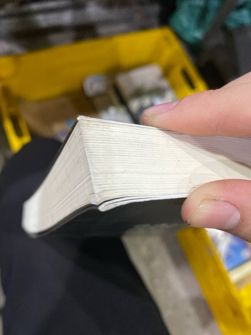 Stillhouse - Con Lạch Chết Chóc