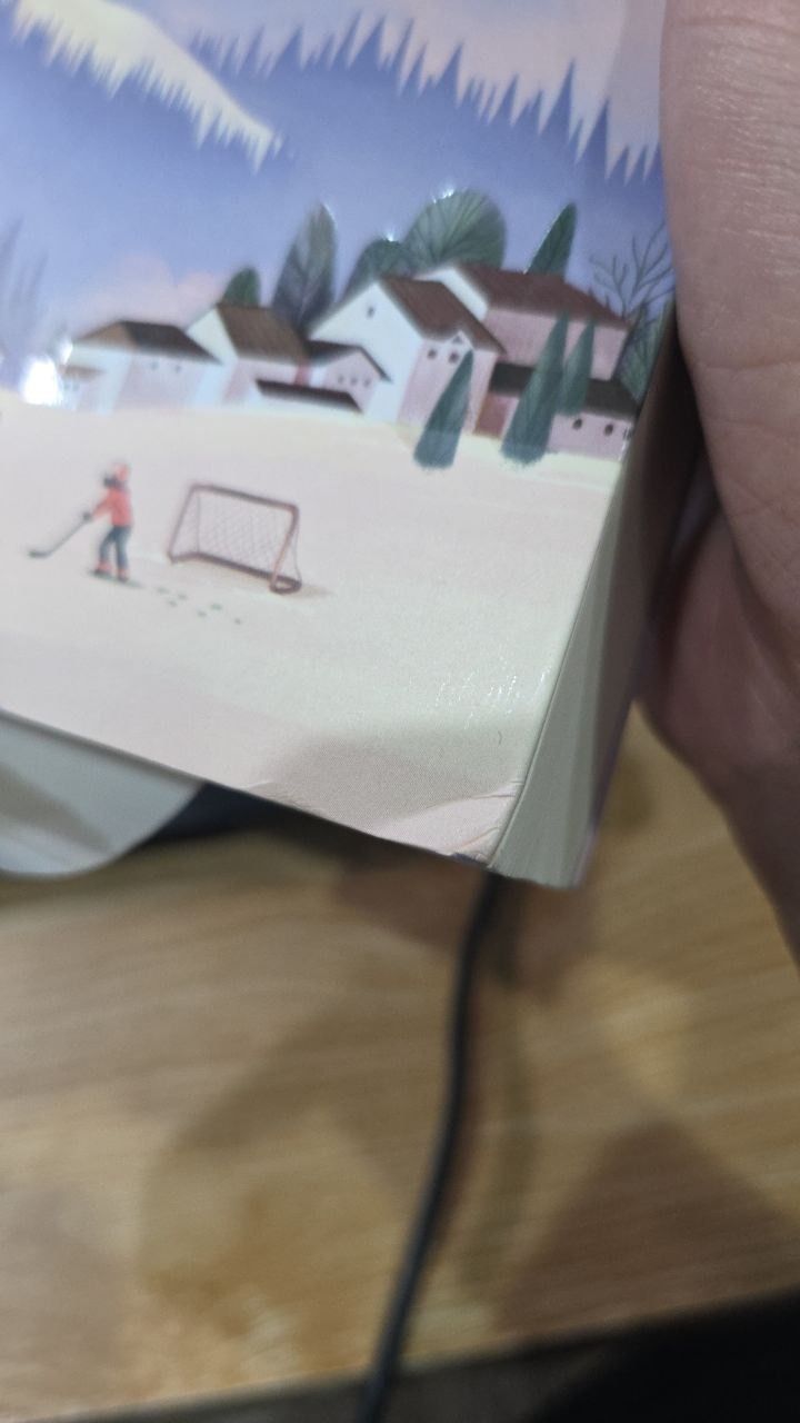 Sách Beartown - Thị trấn nhỏ, giấc mơ lớn