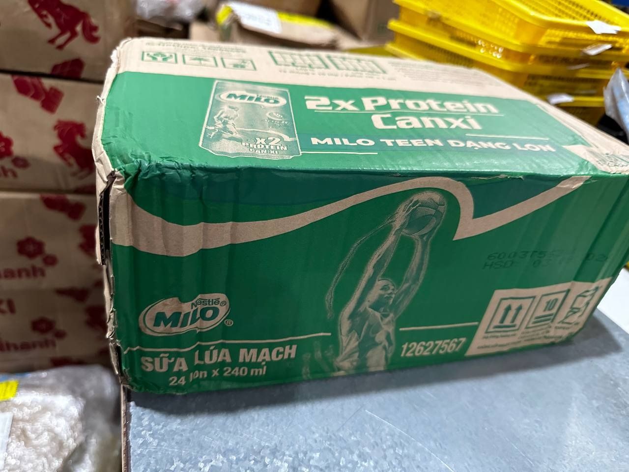 Sữa Lúa Mạch Nestlé MILO Lon Thùng 24 Lon x 240 ml (4x6x240ml)